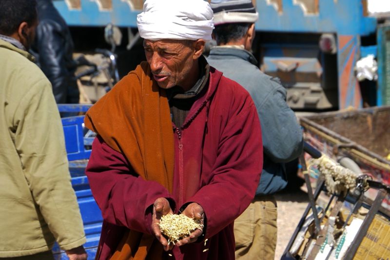 Maroc